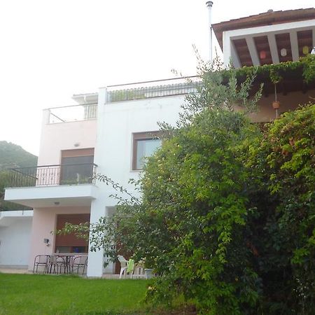 Villa Athina PalaiónTsiflíkion Exterior foto